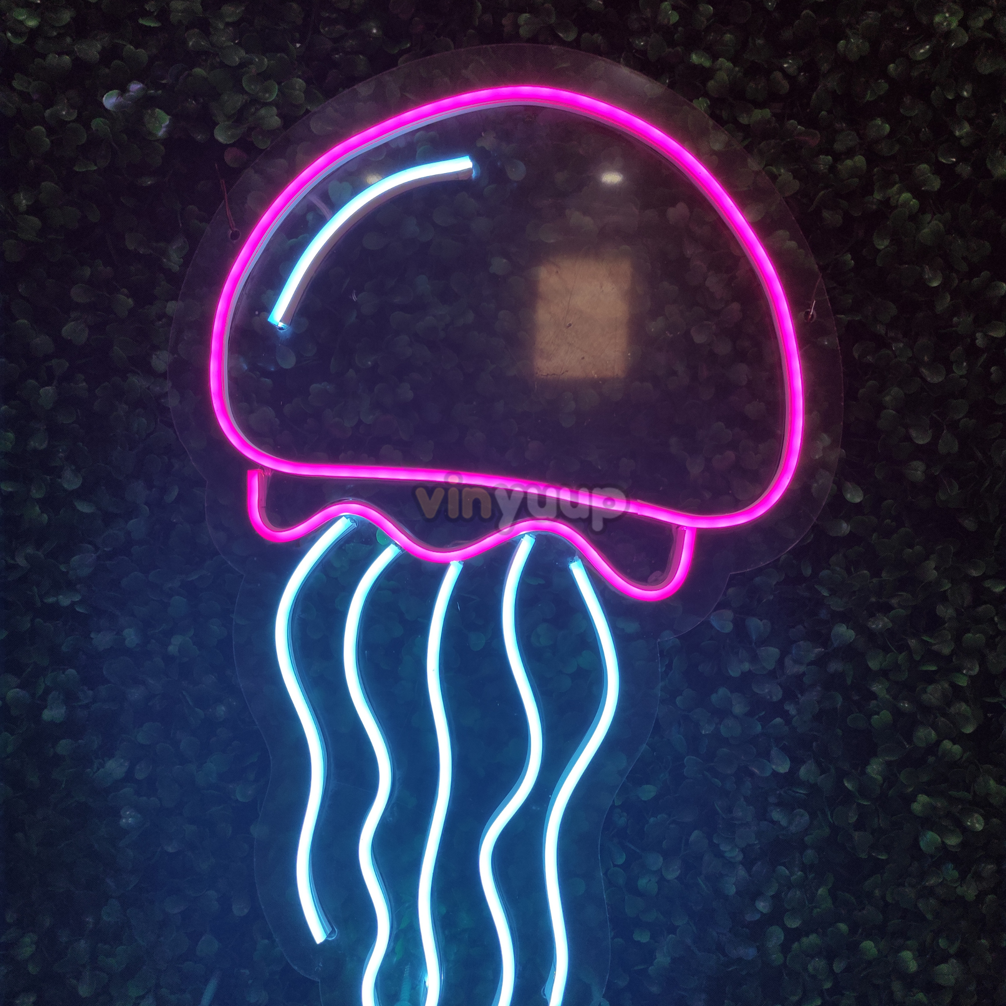 Vinyuup Denizanası - Dekoratif Neon Led Yazı Tabela