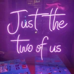 Just The Two Of Us Neon Led Işıklı Tablo