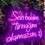 Sen Benim Tırnağım Olamazsın Neon Led Işıklı Tablo