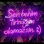 Sen Benim Tırnağım Olamazsın Neon Led Işıklı Tablo