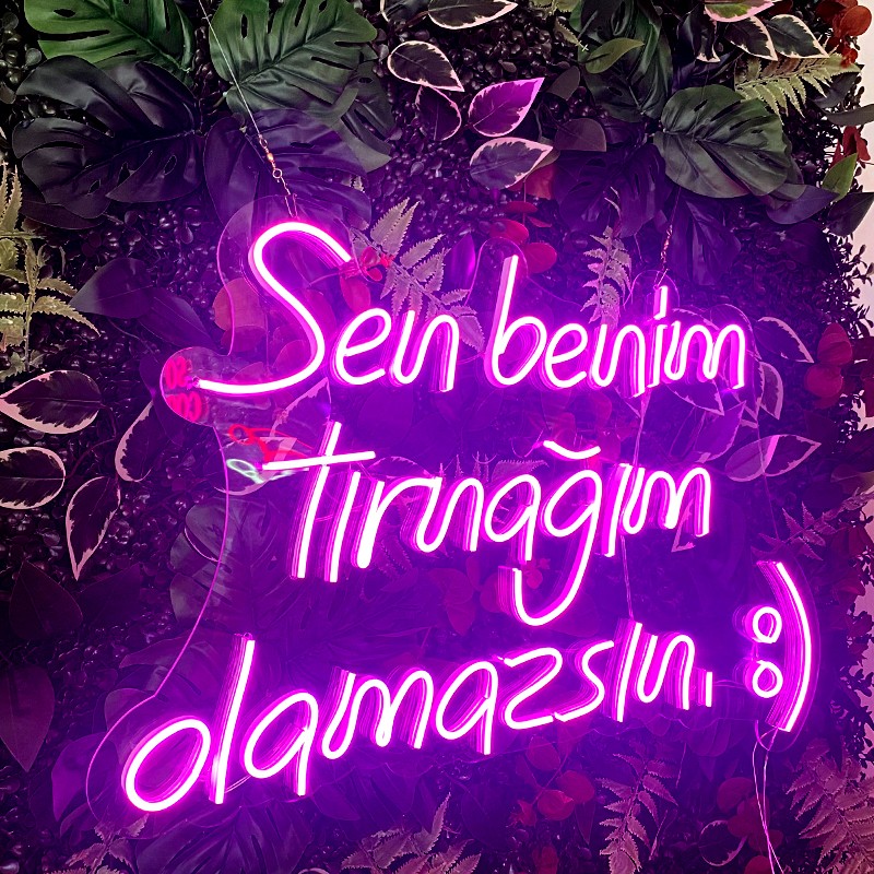 Sen Benim Tırnağım Olamazsın Neon Led Işıklı Tablo