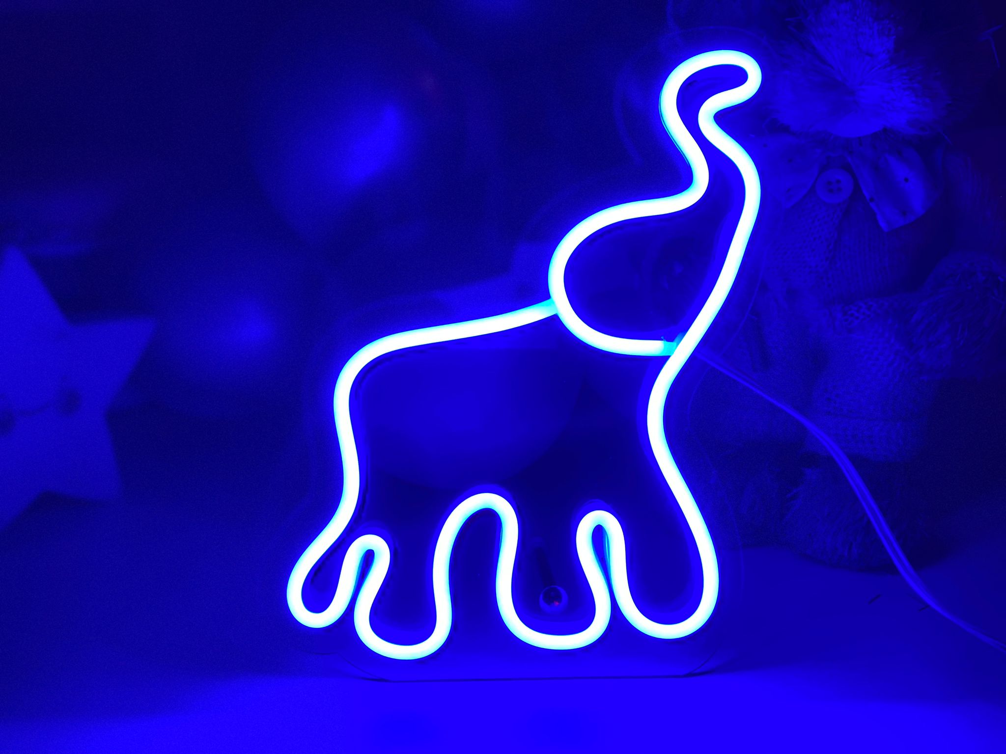 WhatsApp Image 2023-04-27 at 11.45.30 (2)