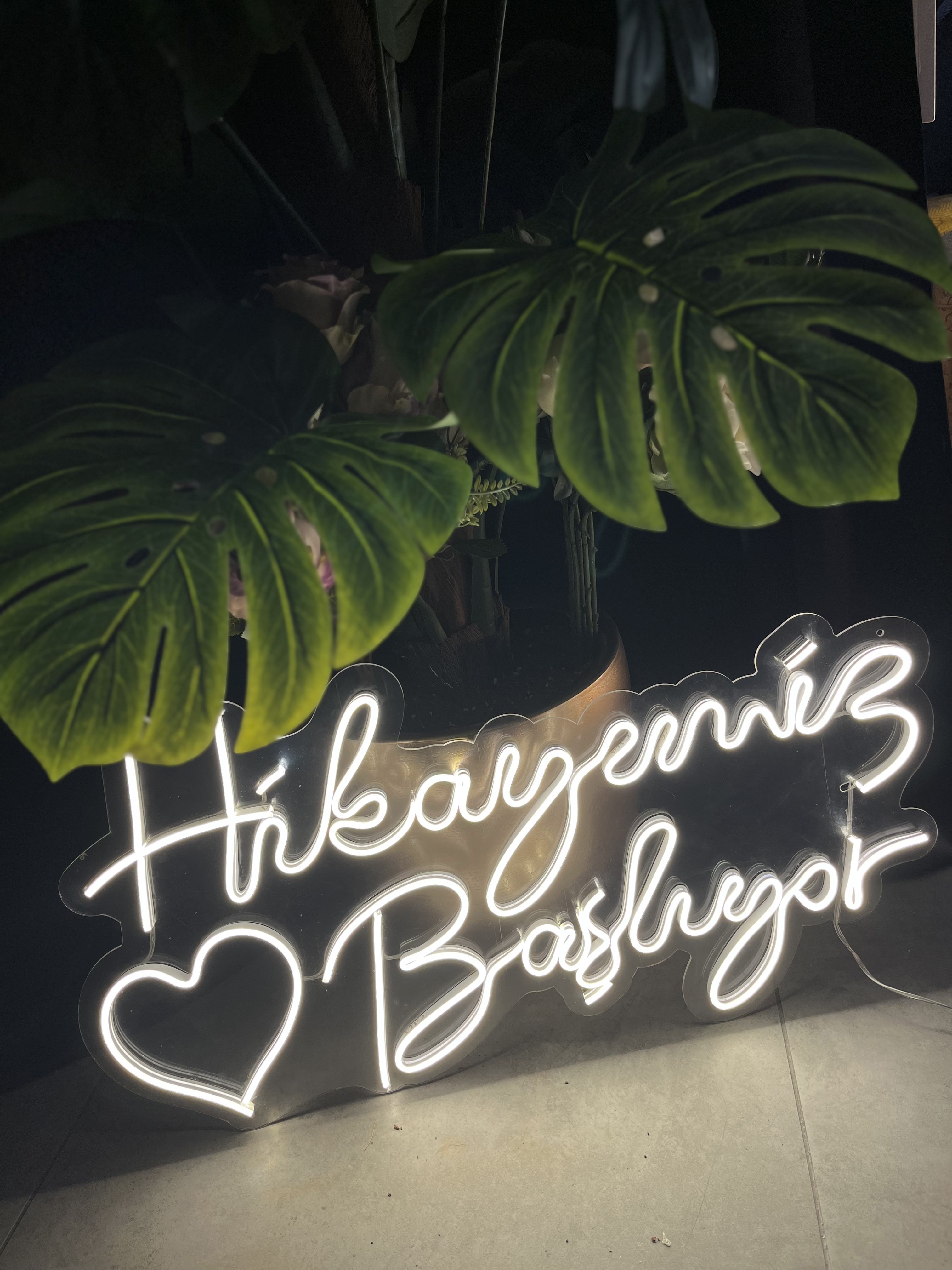 HİKAYEMİZ BAŞLIYOR 1