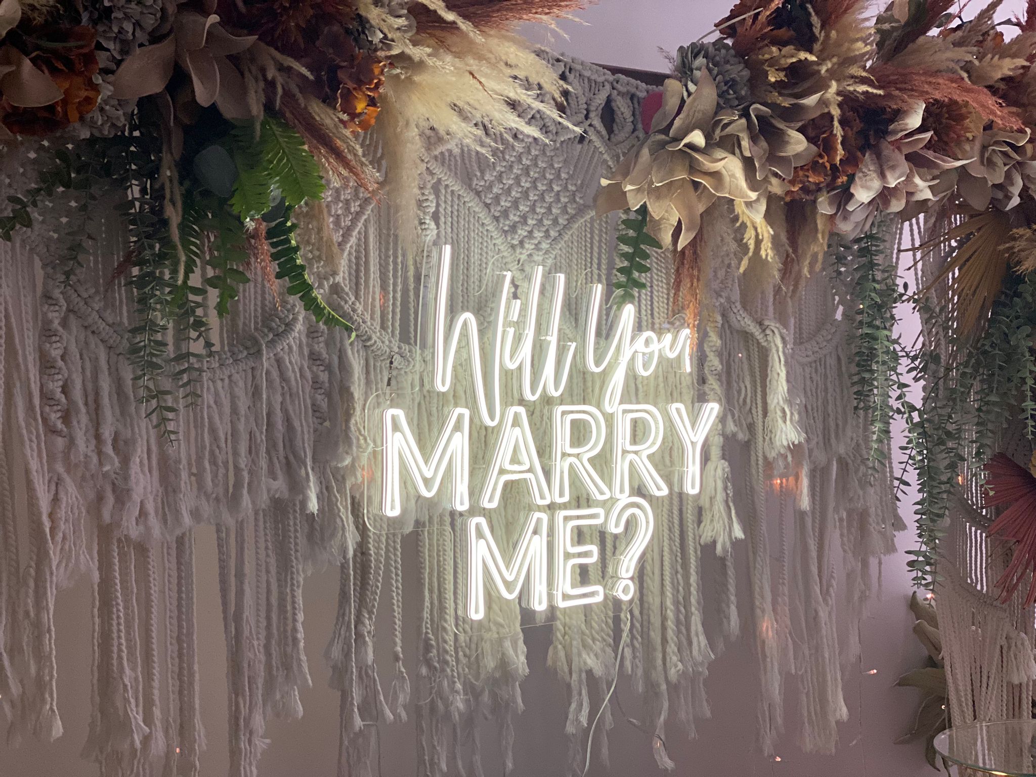 WhatsApp Image 2023-04-27 at 11.45.26